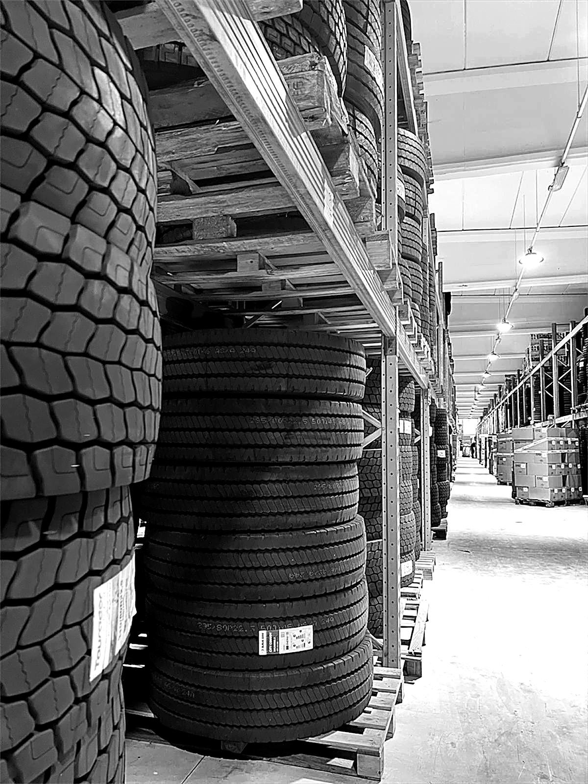 Magazzino di deposito conto terzi Fasalog Moving ad Ariccia, Roma